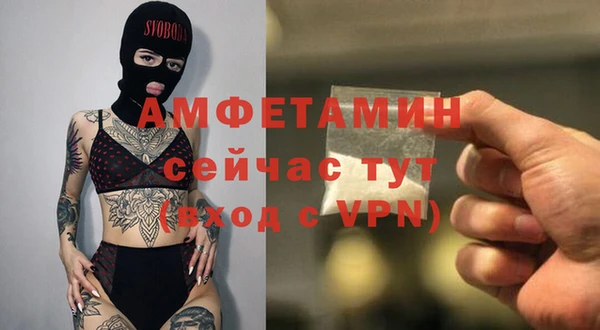 шишки Абаза