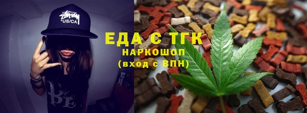 шишки Абаза