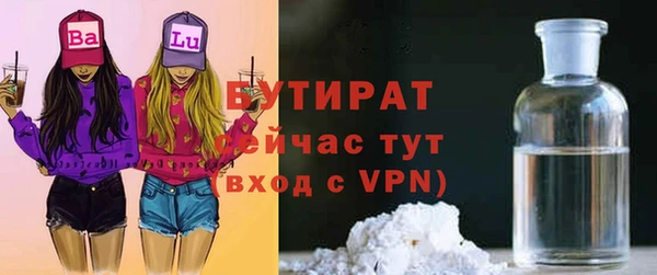шишки Абаза