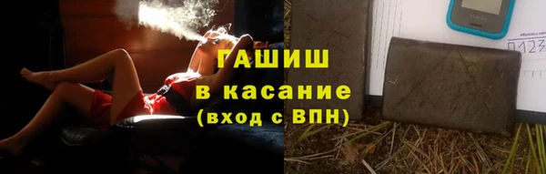 шишки Абаза