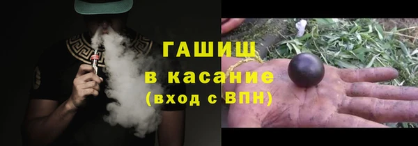 шишки Абаза