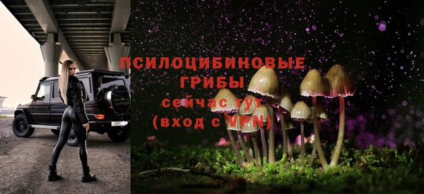 гидра Абинск