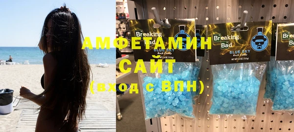 шишки Абаза