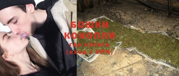 шишки Абаза