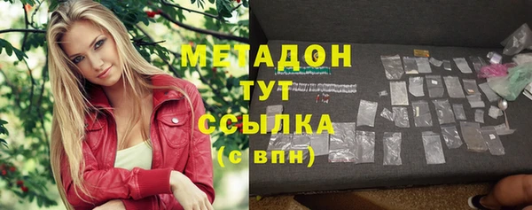 шишки Абаза