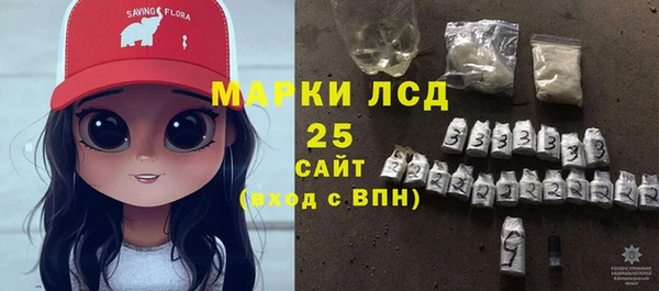 шишки Абаза