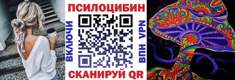 mega ССЫЛКА где продают Холм Галлюциногенные грибы Cubensis